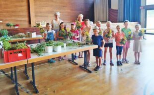 Hilfreich bei Insektenstich und Bauchweh