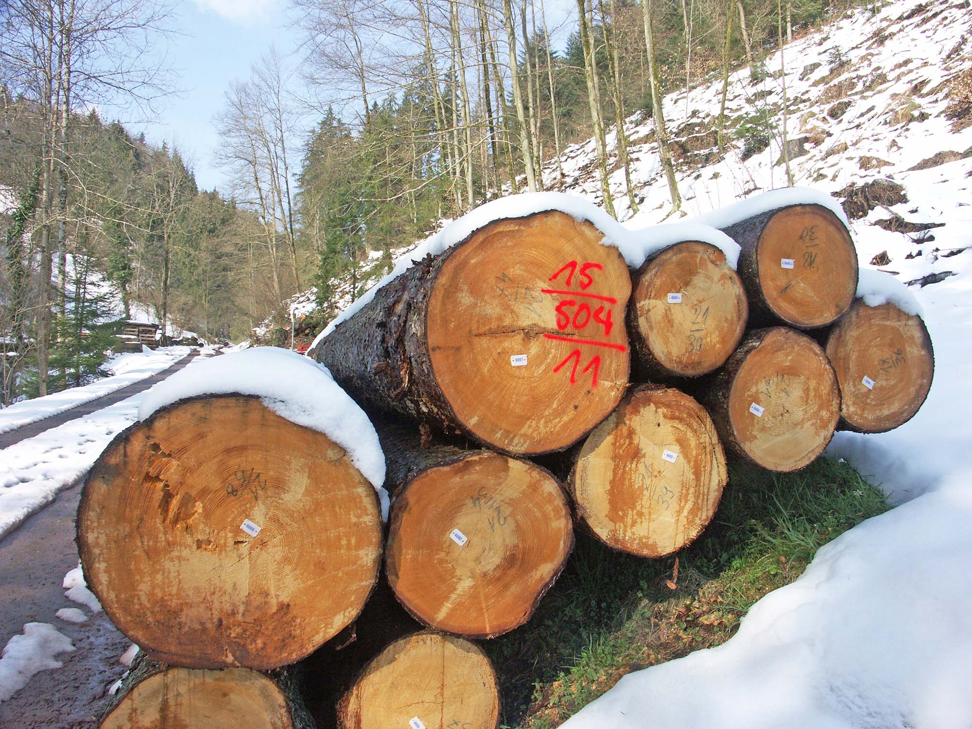 KONICA MINOLTA DIGITAL CAMERA