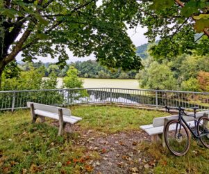 Zwei Bänke unter zwei Bäumen