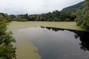 2025-8-27-ST-Steinach-uts- Bänkle Im Leh PXL_20250821_160741414