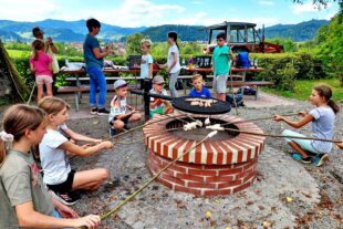 2025-8-27-ZE-UE-ah-Landfrauen-WhatsApp Bild 2025-08-24 um 09.23.03_f1fa97df