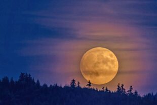 2025-8-27-ZE-eyh- Vollmond Walk ©Evi_Seeger_Vollmond