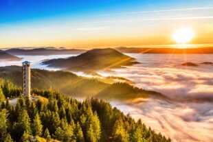 2025-8-6-OG-LRA-Fotowettbewerb_ Steffen-Birk_Buchkopfturm_Oppenau