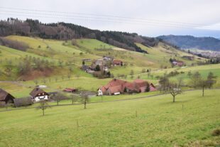 „Wir sind nicht Onassis“: Gemeinderat ringt mit steigenden Kosten im Emmersbach