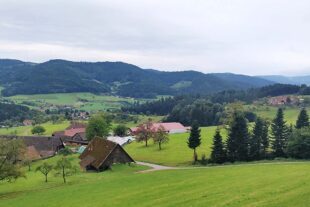 2025-9-1-ZE-UH-Reinhard Heizmann-WuF Senioren-Blick ins Harmersbachtal