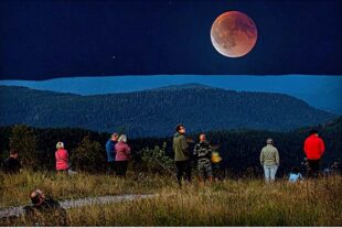 2025-9-12-OH-sp- Mondfinsternis Robert Schwendemann 226A0011- ganz Bearbeitet-1 Kopie_Fotor_Collage Kopie