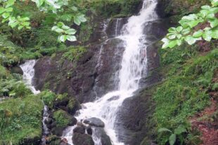 2025-9-19-BI-Klaus Pfaff- SWV im Elsass IMG_6904