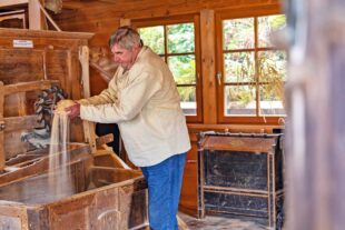 2025-9-24-GB-Tourist-Info-Kulinarische Landpartie-Dorfurlaub Oberharmersbach kl Foto©Heimatlichter_Schwarzwald Tourismus