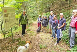 Geführte Wanderung zu Höhenhöfen und Altglashütten