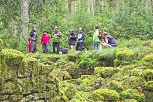 2025-9-26-NO-hv- Wanderung Höhenhöfe Nachbericht 20250921_162029