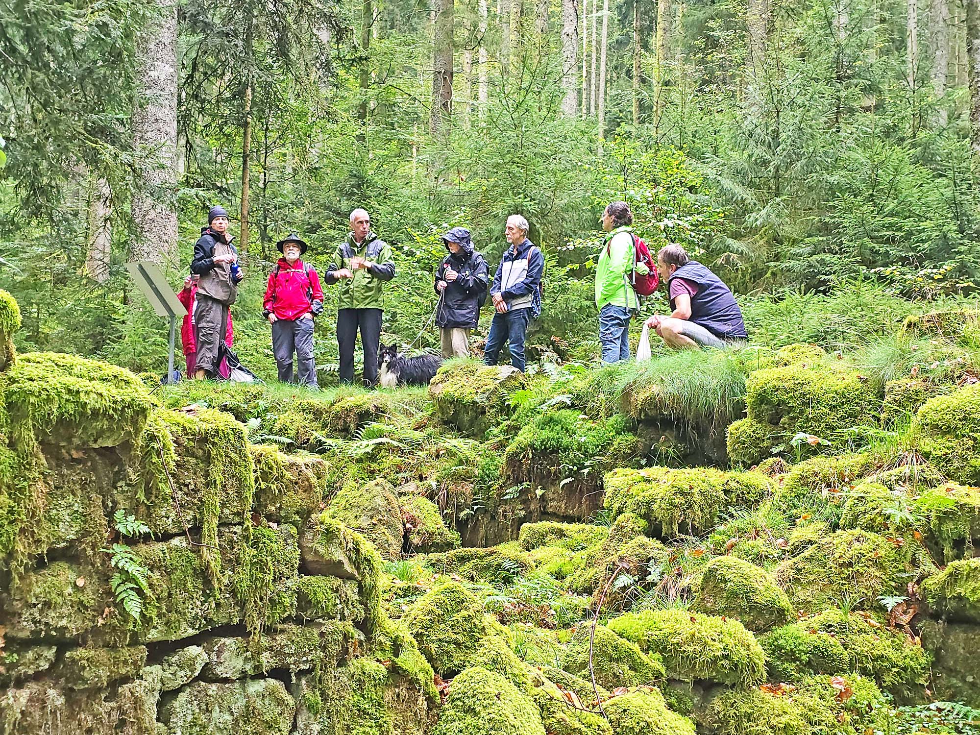 2025-9-26-NO-hv- Wanderung Höhenhöfe Nachbericht 20250921_162029