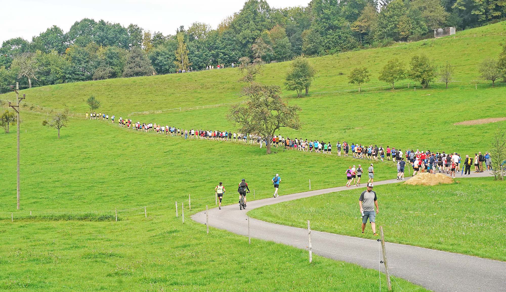 2025-9-26-ZE-UH-LG-Brandenkopf-Trail-Run-Start_TrailRUN21