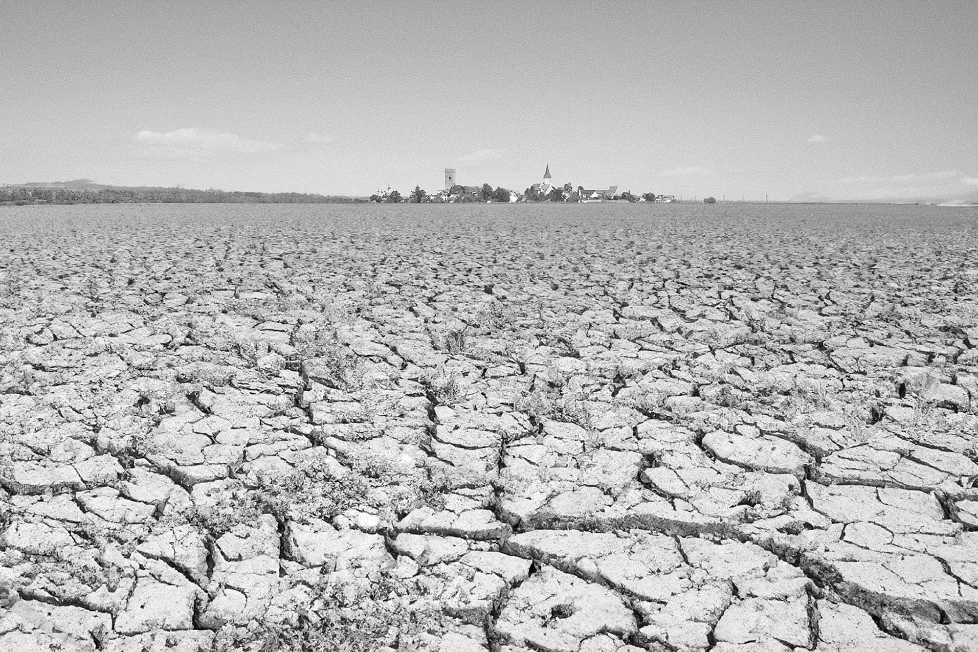 2025-9-5-ZE-LR-sp- Projekt QR mit Dieter AtzKI-or not-KI-7-gr