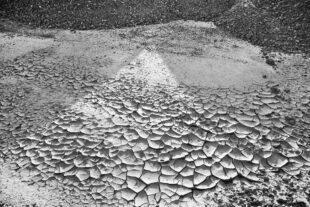 2025-9-5-ZE-LR-sp- Projekt QR mit Dieter AtzKI-or not-KI-8-gr