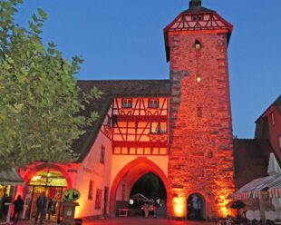 Museumsabend verbindet Kultur und Geselligkeit