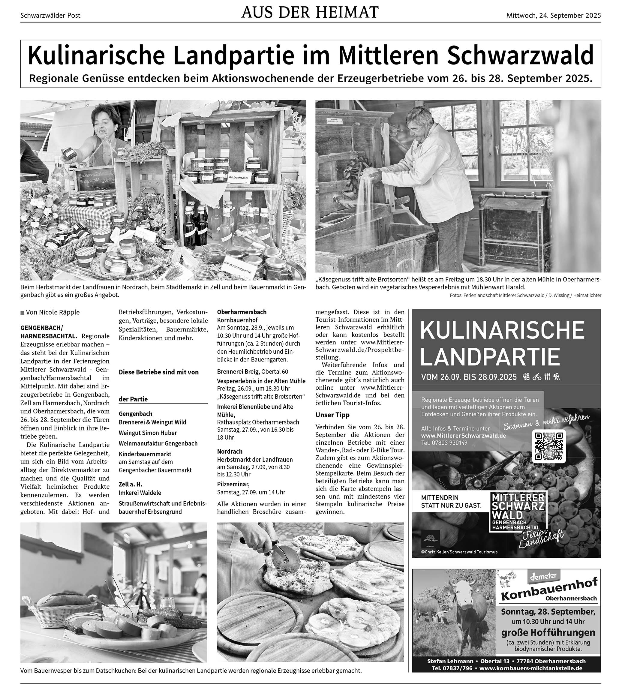 20250924-DB4-2-3.indd