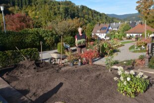 2025-10-10-OH-hps-Gärtnerei Lang-Golla-Friedhof-DSC_3400