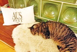 2025-10-2-BI-vo-Willi braucht eine Auszeit IMG_20250930_212656