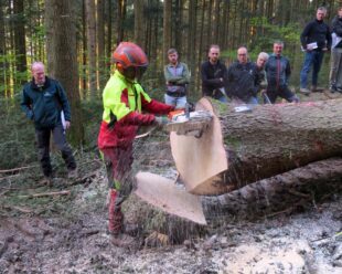 Der Holzwirtschaft geht es gut