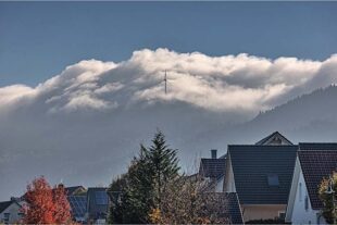 2025-10-24-OH-Robert Schwendemann-Nebelkappe-226A0009-Bearbeitet[40].jpg