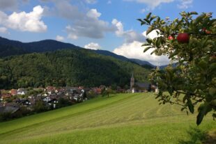 2025-10-6-OH-jil- Apfel in Flammen Spaziergang Blick vom Billersberg auf Oberharmersbach