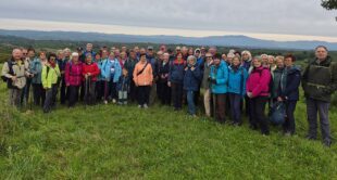 Schwarzwaldverein wandert am Kaiserstuhl