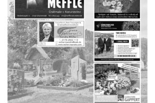 20251010-DB2-2-3.indd