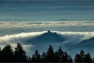 2025-11-12-OH-Robert Schwendemann- Nebel Hohengeroldseck DSC05751-Bearbeitet