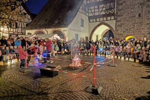 2025-11-14-ZE-Sternschnuppe-St Martin-(c) uts-20251111_165413531.NIGHT