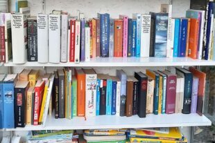 2025-11-14-ZE-UE-Heike Zink-5 Jahre LeseLust UE-20251104_160347