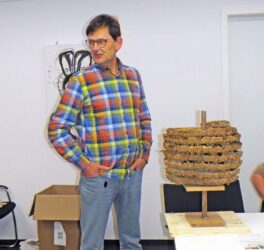 Die asiatische Hornisse beschäftigt Bürger und Verwaltung