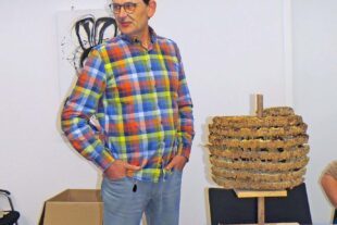 Die asiatische Hornisse beschäftigt Bürger und Verwaltung 2025-11-19-NO-ga-Gemeinderat-IMG_0706