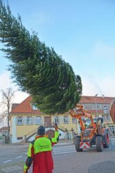 Zeller Tannenbaumstädtle wird weihnachtlich geschmückt