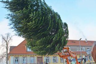 Zeller Tannenbaumstädtle wird weihnachtlich geschmückt 2025-11-19-ZE-hps-Tannenbaumstädtle-DSC_3954