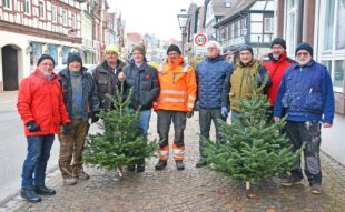 Das Tannenbaumstädtle erstrahlt in weihnachtlichem Lichterglanz
