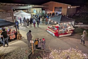 2025-11-26-ZE-UE-von 2024-12-4-ZE-UE-uts-Bienenmartin-Adventszauber 2024-(c) Bienenmartin-PXL_20241129_172...834785