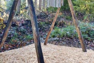 2025-11-26-ZE-UH-ibr- WuF Eichhörnchenpfad IMG_20251104_111227