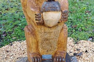 2025-11-26-ZE-UH-ibr- WuF Eichhörnchenpfad IMG_20251110_121206