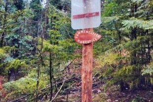 2025-11-26-ZE-UH-ibr- WuF Eichhörnchenpfad IMG_20251125_084330