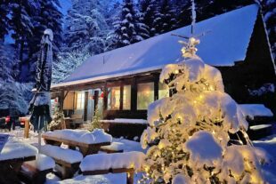 Den Advent auf der Löcherberg-Hütte genießen