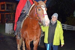Martinsumzüge der Kindergärten 2025-11-7-ZE-hps-Archivbild St Martin-DSC_7367