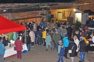 2025-12-1-ZE-UE-hps-Bienenmartin Adventszauber-DSC_4055