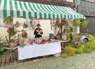 Fast 700 Euro für das Bärenkind gesammelt