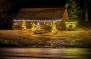 Weihnachtszauber im Wald