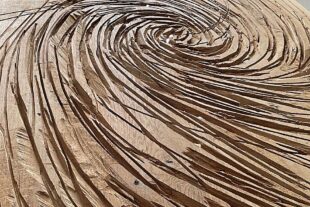 2025-12-23-ZE-privat-Armin Göhringer-Kapelle Lahr-IMG_1762 Kopie 2