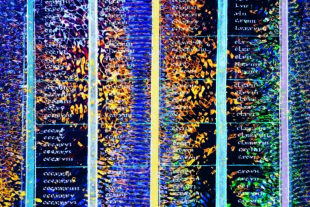 2026-1-16-GB-sp- Führung Haus Löwenberg alexander_lauterwasser_evangeliar_001