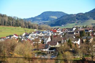 Rund um Steuerfragen, Recht und Versicherungen