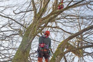 2026-1-21-OH-kal- GMR Haushaltsberatung zIMG_9512b