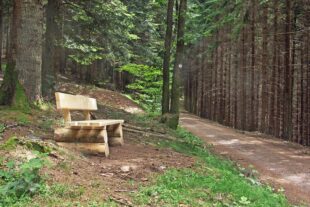 KONICA MINOLTA DIGITAL CAMERA