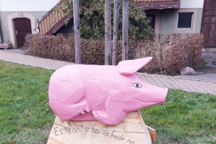 2026-1-21-ZE-UH-Patrick Friedmann-Saumusikabend-20260118_160245